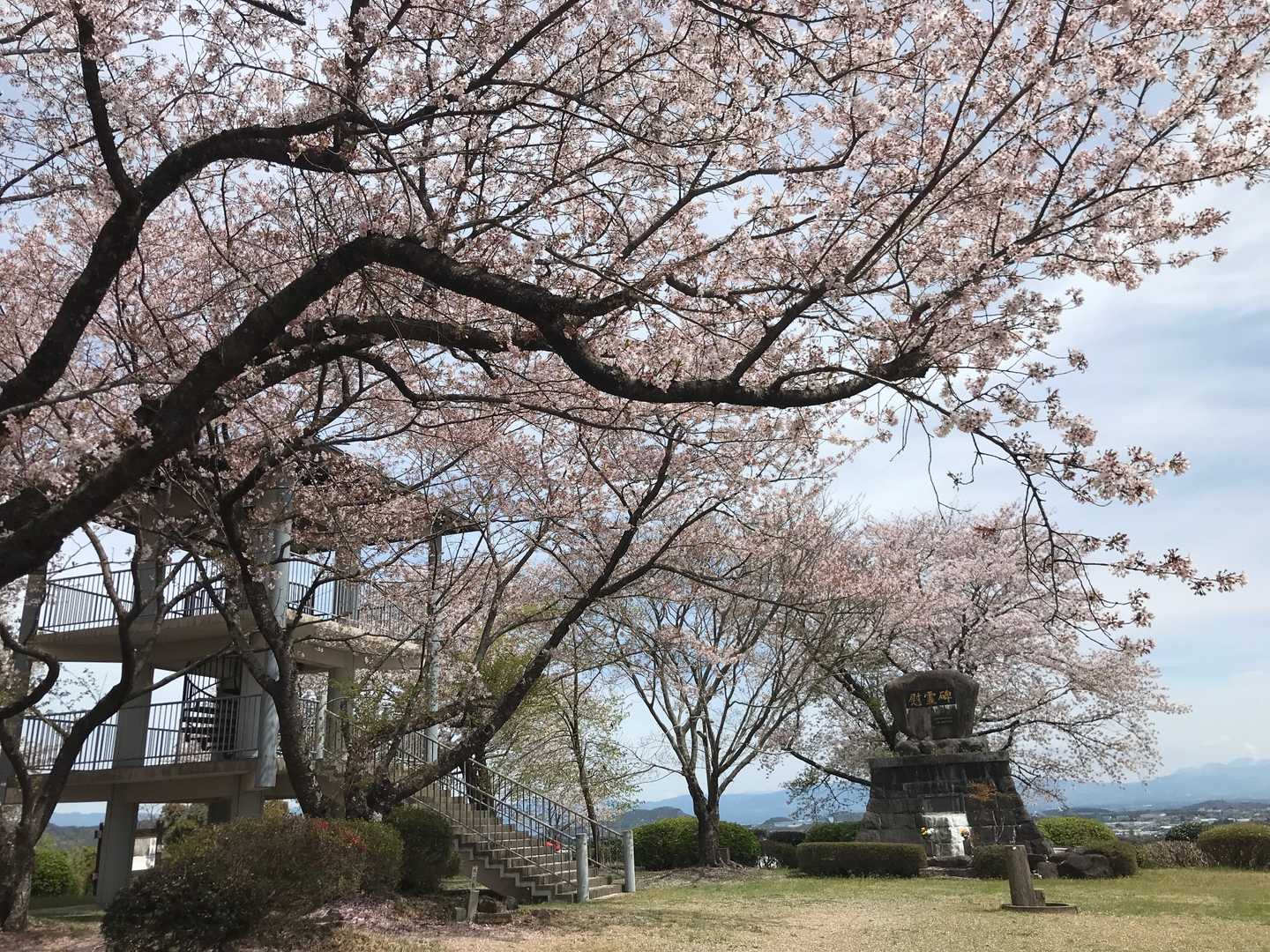 横平山の写真