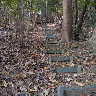 まさかのプラ階段登り返し🤣