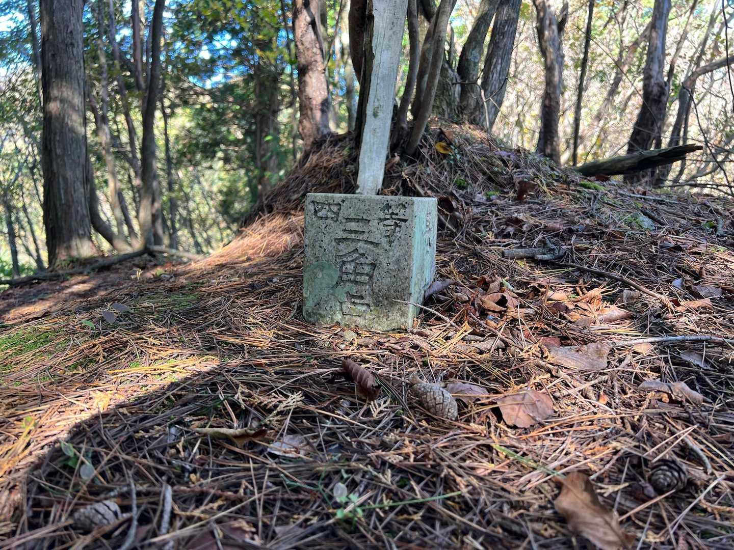 
やっと、尾根の三角点に到着　御影石？立派