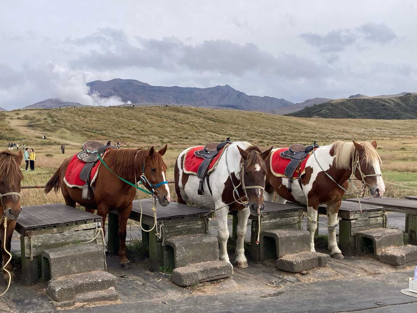 草千里登山口-駒立山 周回コースの写真