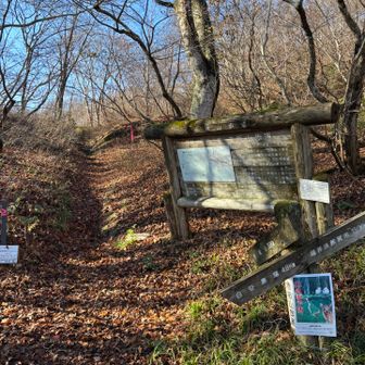５０分程度で峠に到着です。トイレで小休止した後、縦走路に入りました。