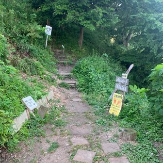 YAMAPピークでは無い桜山古墳群に寄り道
