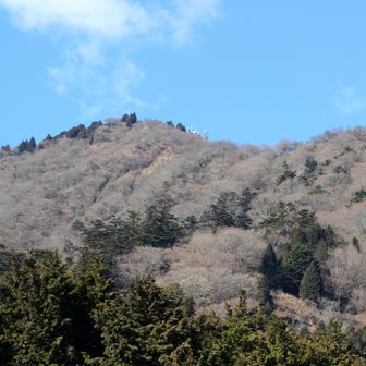 大山山頂