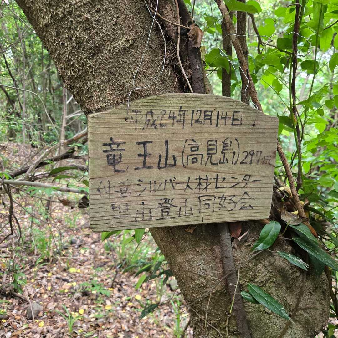 登頂⛰️
山頂からの眺望はありませんでした
