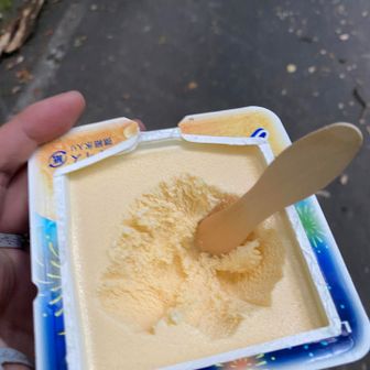 下界の味😋