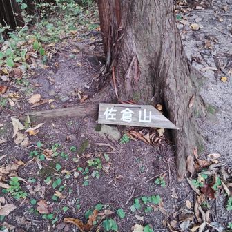 道標。分岐案内はありません。