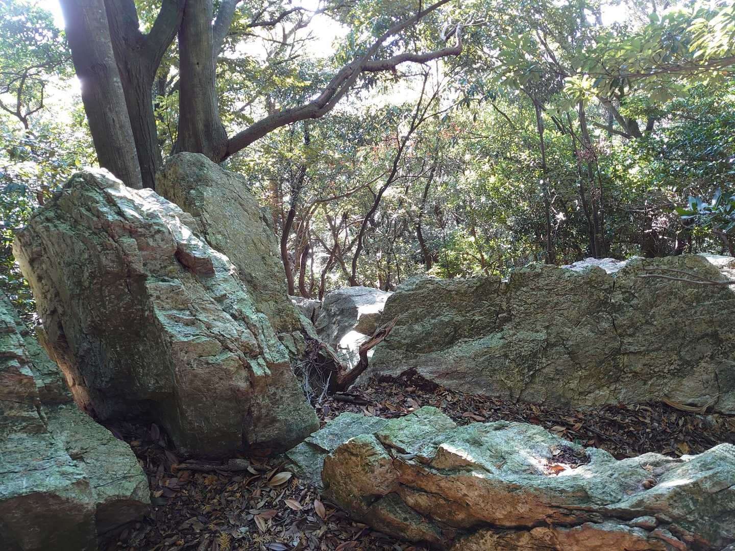 🍊畑から失礼して…。大明神山の山頂は岩ゴロゴロ、展望無しでした。