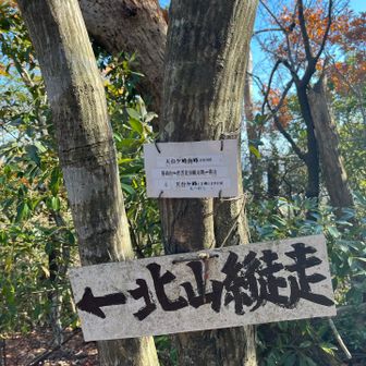 もうすでに下山後の楽しみのことしか考えてないので、写真も少なめ