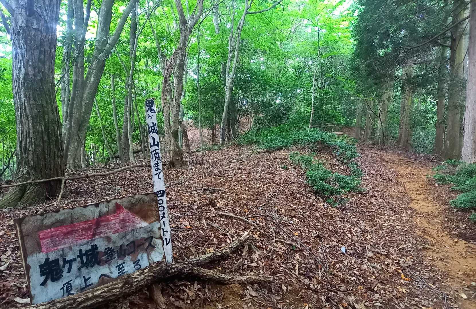 ここからは更に快適な道💚