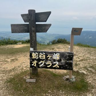 蛇谷ヶ峰（じゃだにがみね）は標高901.7m
地元では「オグラス」と呼ばれるそうです