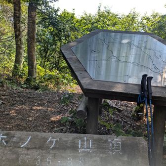 山頂😁貸し切りでーす