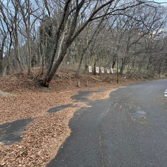 駐車場に戻ってきたよ

冬は日没が早いから、下山も時間に気をつけて💕動物も出てくるからね😆