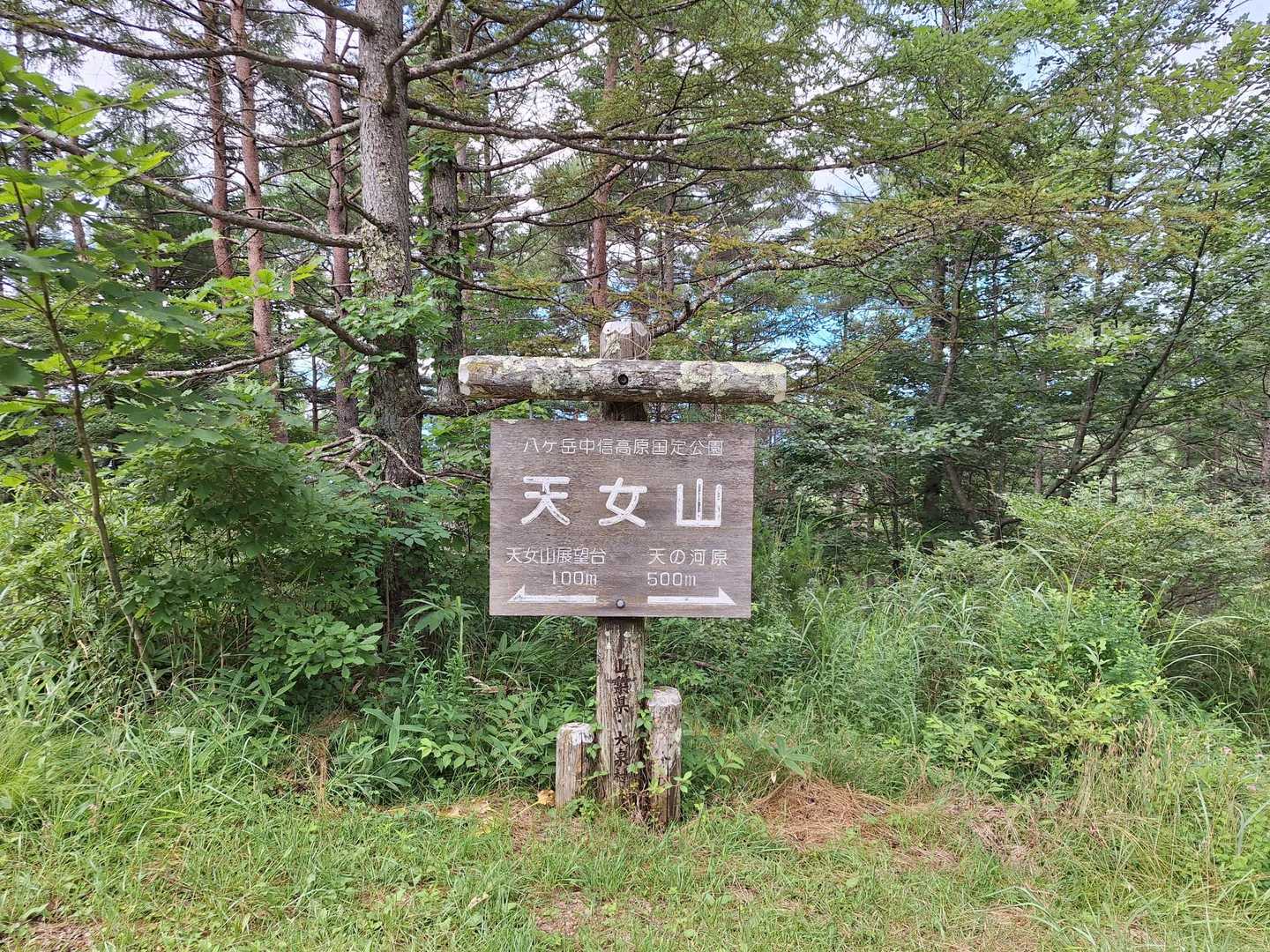 食後天女山へお散歩

