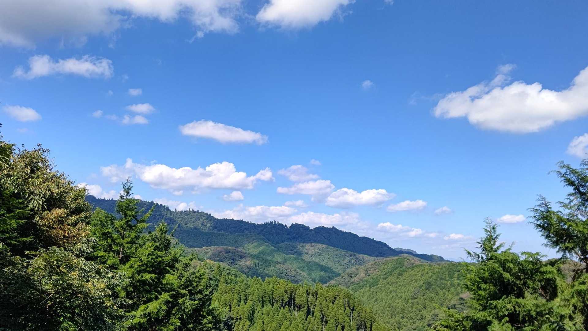 高尾山口駅-草戸山-榎窪山 周回コースの写真