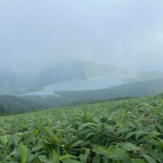 横手山から30km泥濘&藪漕ぎ地獄を超えてようやくゴールの野反湖が見えた🙌🏻