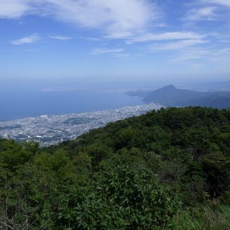東には別府湾。海も山も街も味わえるお得な山頂です