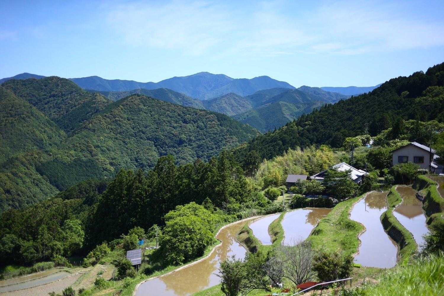 聖なる森で耳を澄ませる和歌山・熊野古道①コースの写真