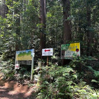 　　　　　　　　　ここが登山口