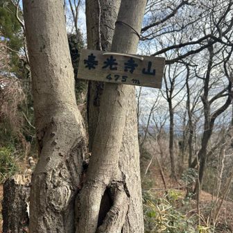 善光寺山
巻道に行かず頑張って、急な階段上がってきました！