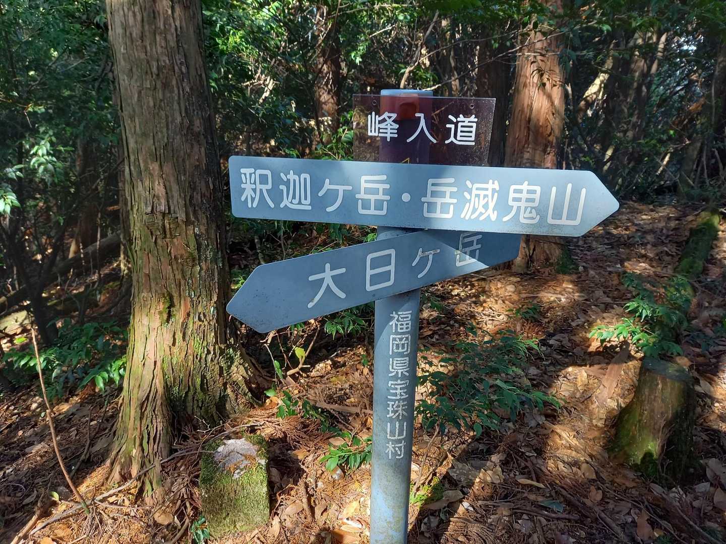 斫石峠-大日ヶ岳-釈迦ヶ岳 周回コースの写真