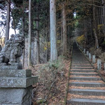 403段の階段スタート😅