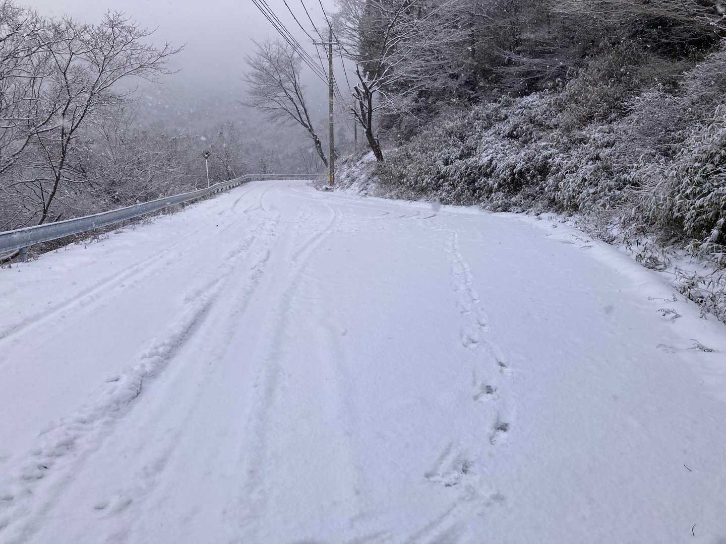 自分の足跡を眺める。
