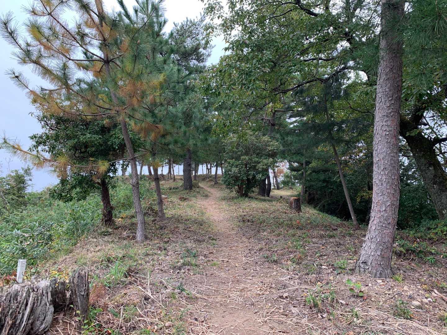 要害山山頂はもうすぐ。