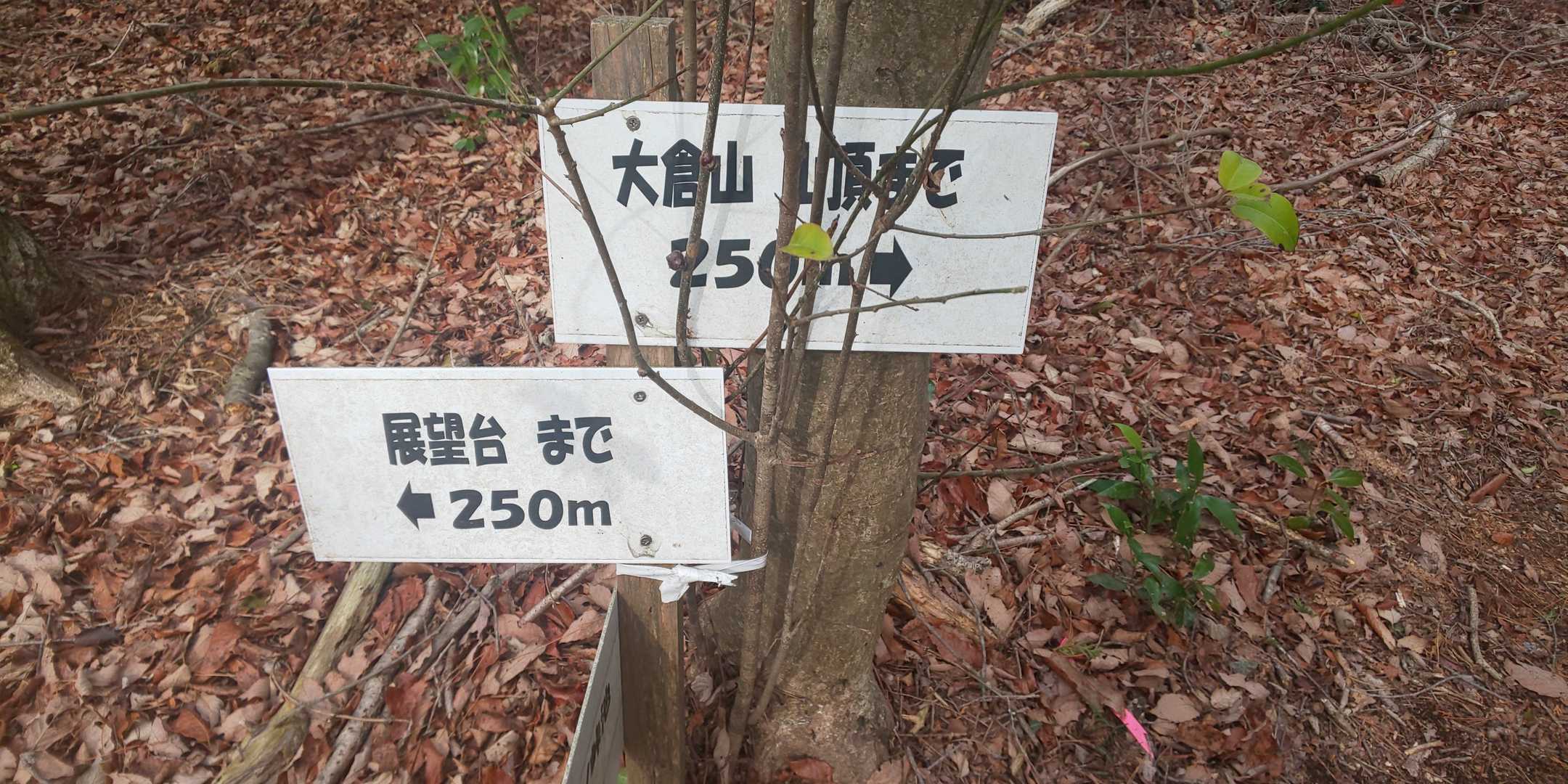 標識木で隠れてまして、おっちょこちょいの私は⇐へ🤣
