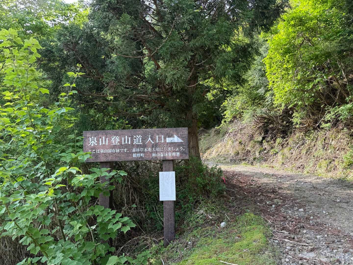 笠菅峠-泉山-中央峰-井水山 往復コースの写真