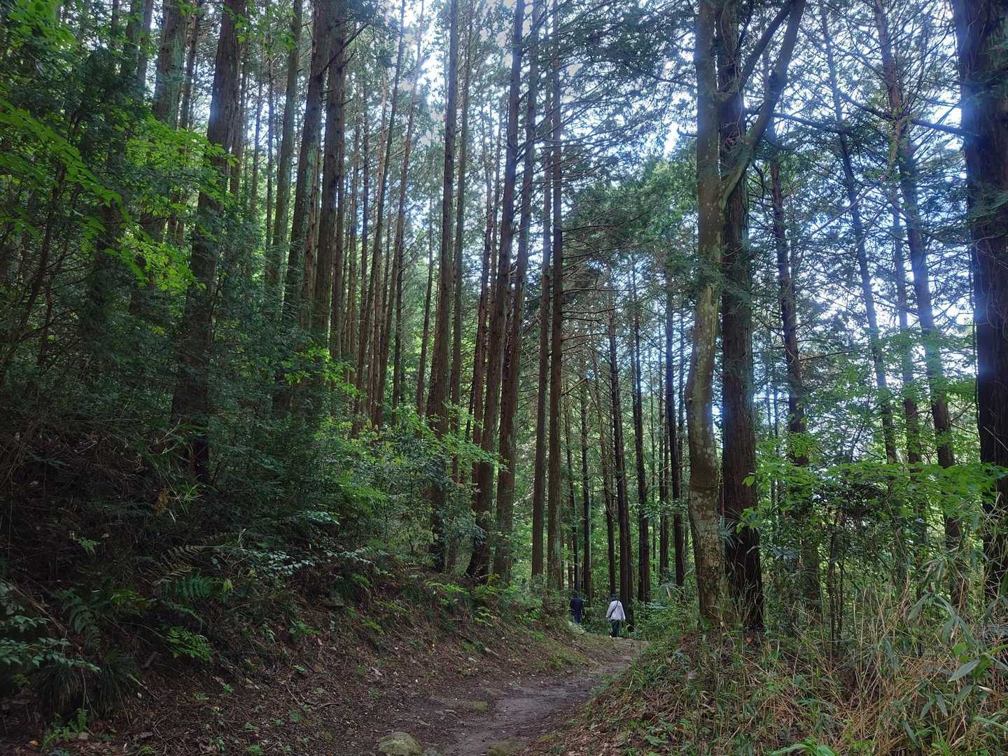 素敵な山行でした😊大満足