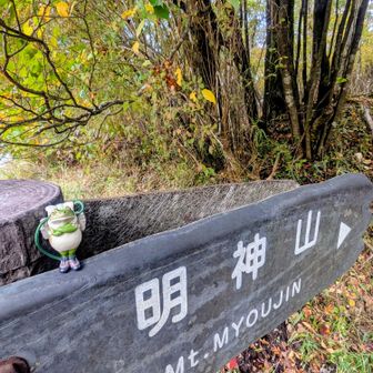 無事カエル🐸