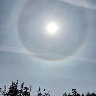 日暈と飛行機雲