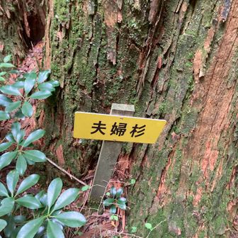 ちゃんと表示もある