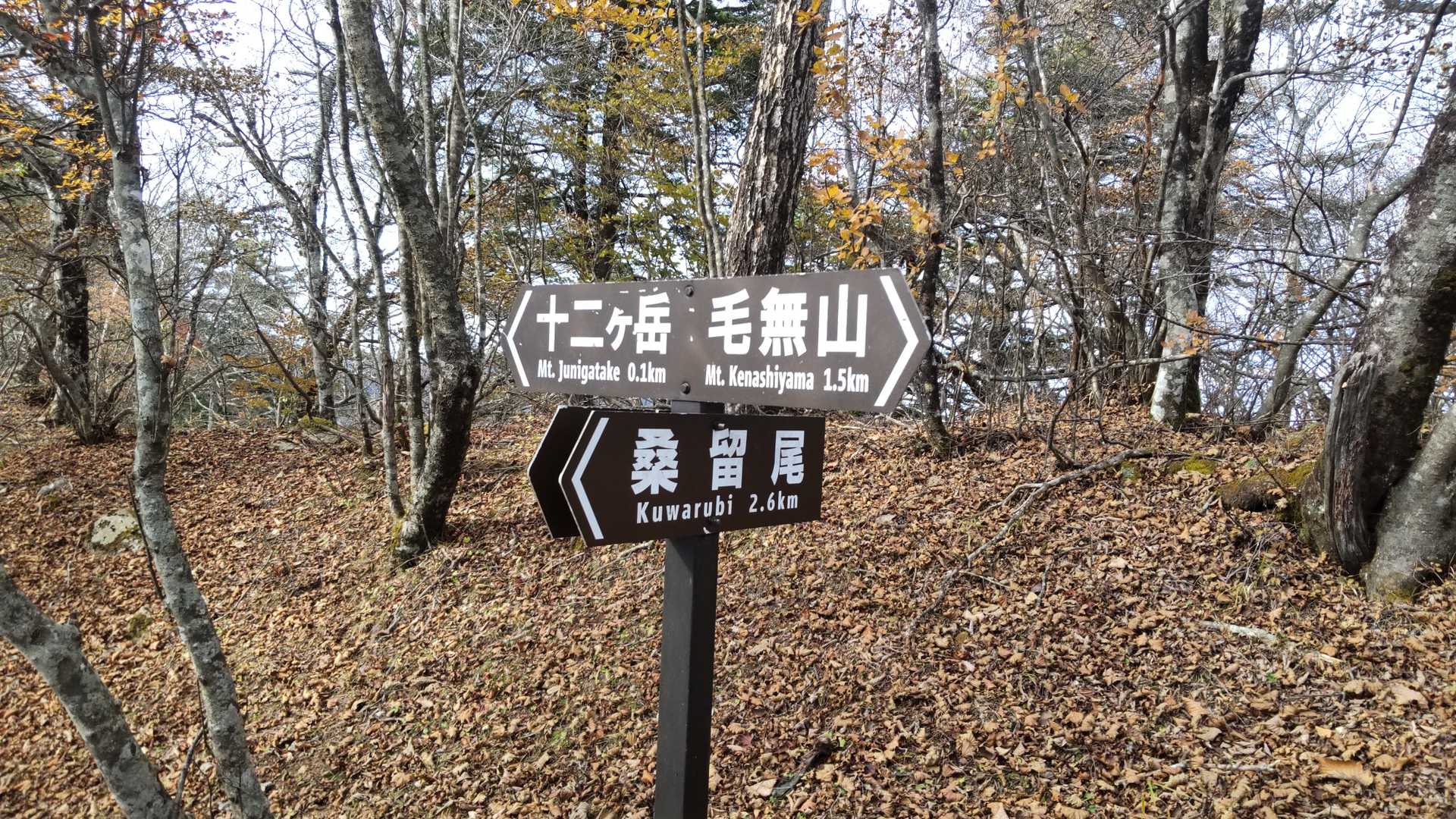毛無山、一ヶ岳、からの道が合流すると
山頂まですぐ