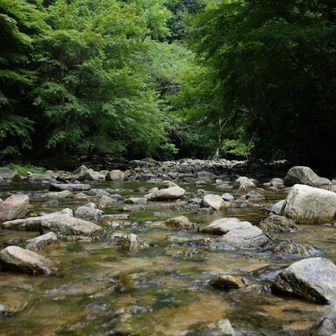 市ケ原の水音が心地良い