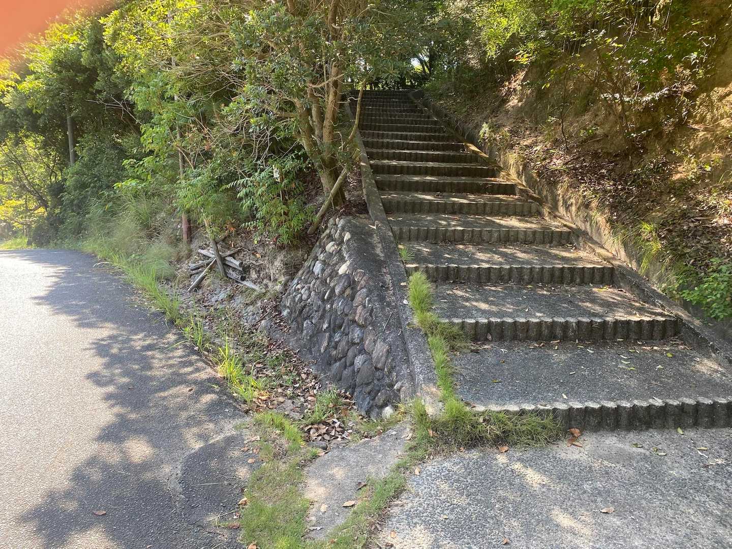 多分コレ。