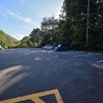 平日なので駐車場は空いている