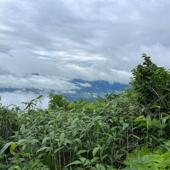 雲の上に出た🌥️