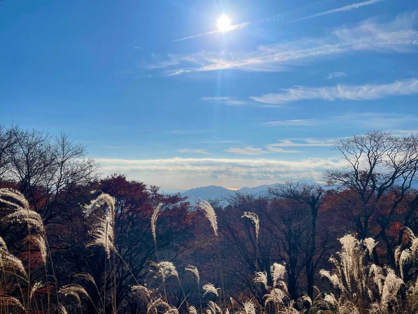 光っているのは相模湾⁉️