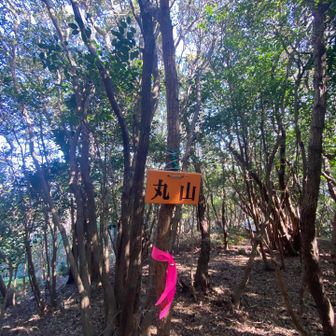丸山に登頂⛰️