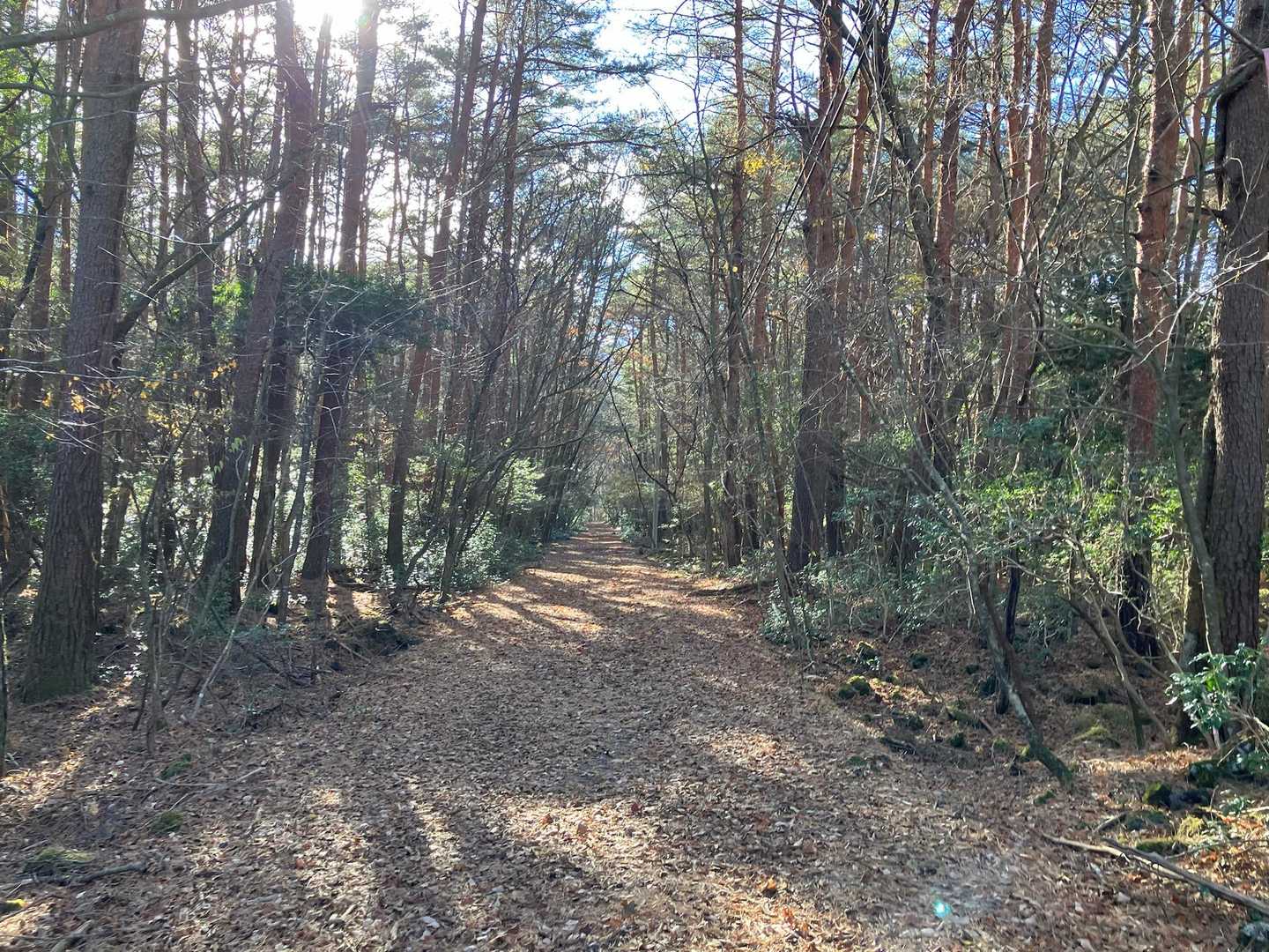 無事一周出来ました〜
楽しかった‼️