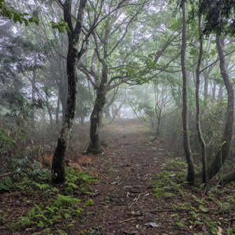 やっとこさ山頂が見えてきて…