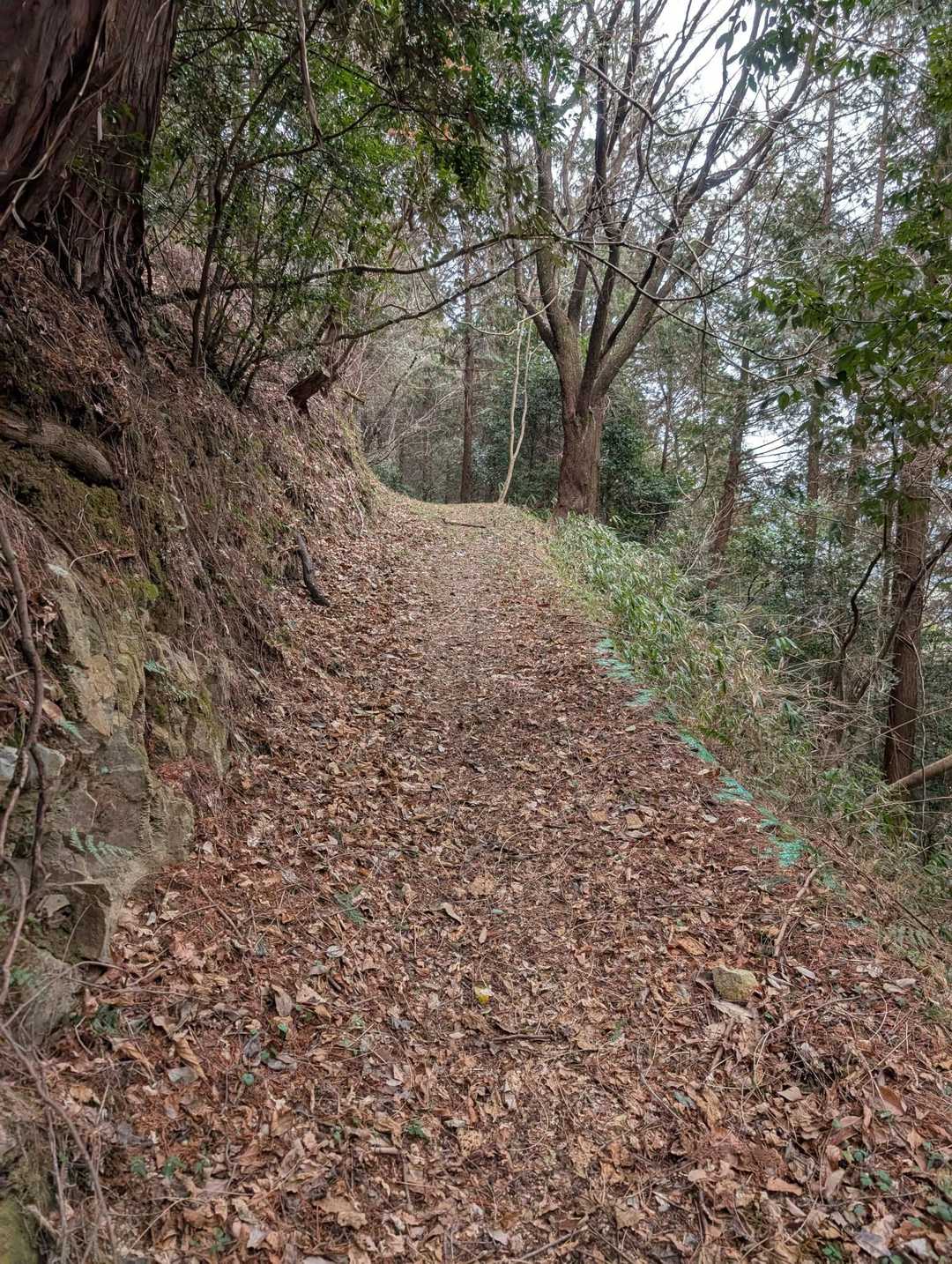この辺りでバイクが下りてきた😳