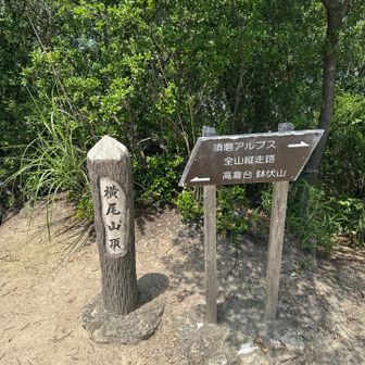 横尾山頂