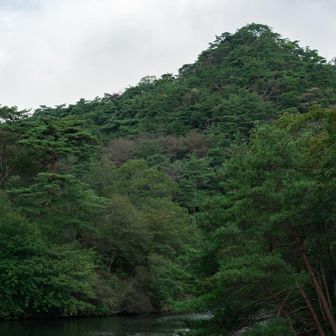 緑に染まるシェール槍。