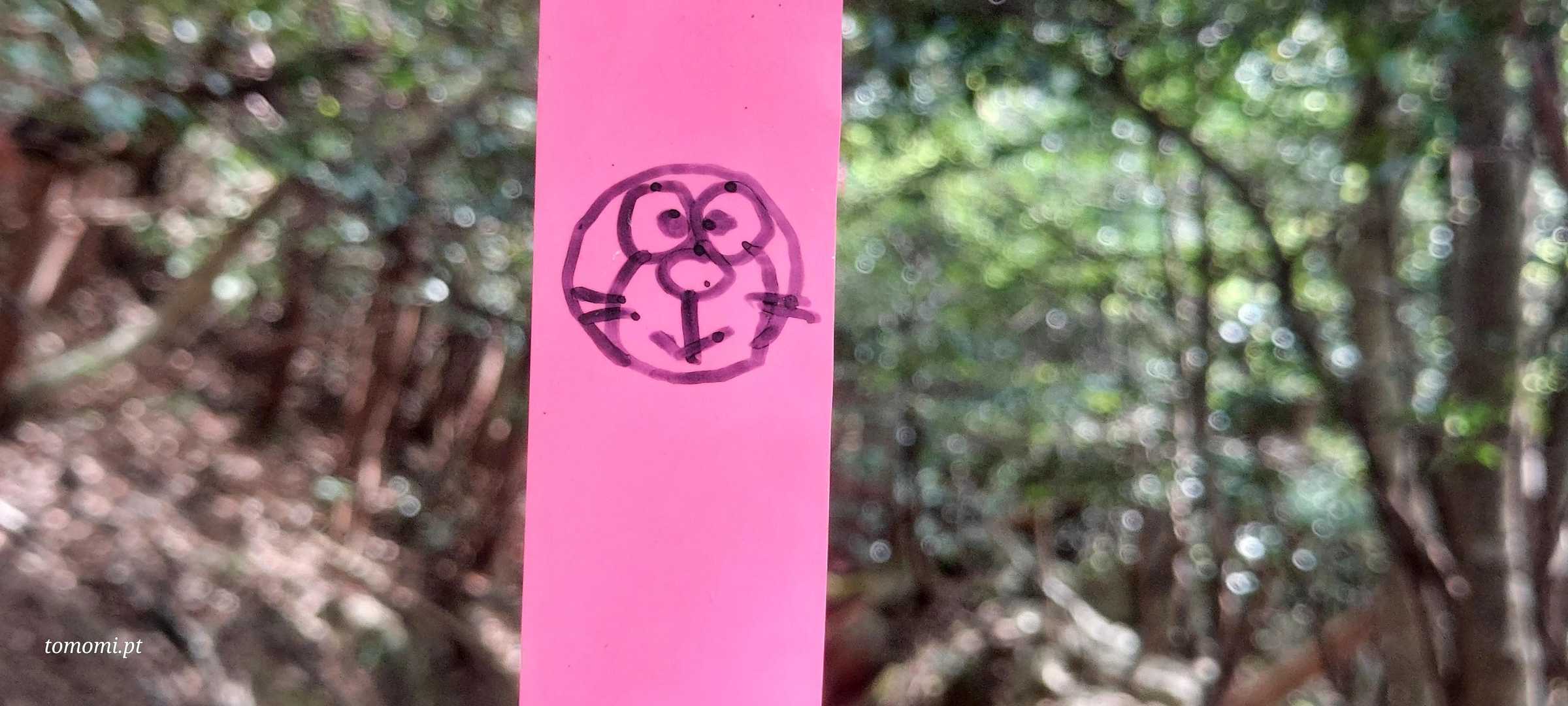 牛山 往復コースの写真