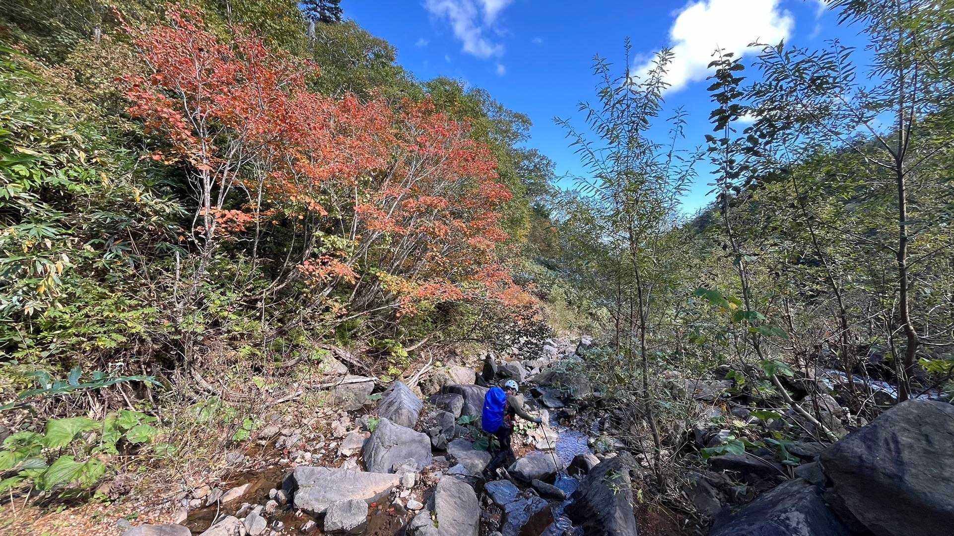 紅葉を楽しみながら下山