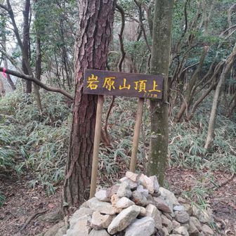 宝塚最高峰 岩原山
573m
