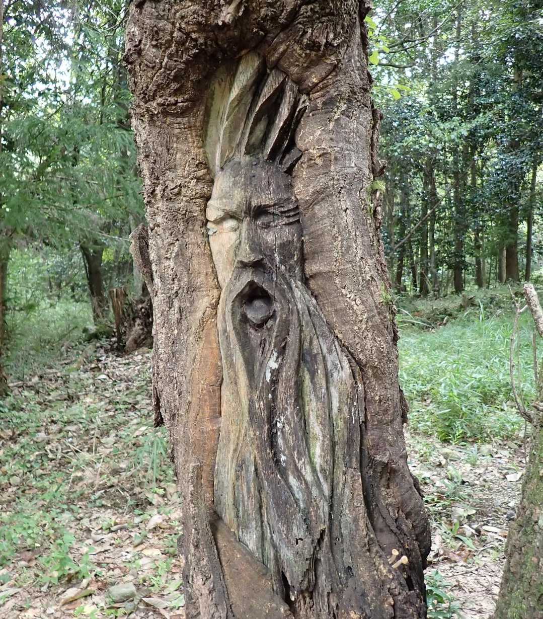 一瞬ビビる😳