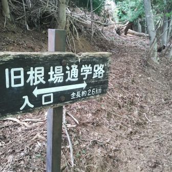 昔の通学路だったのでしょうか